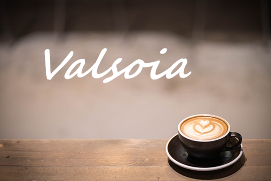 Vasoia chiude un 2024 positivo